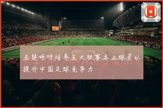 王楚呼吁培养五大联赛本土球员以提升中国足球竞争力