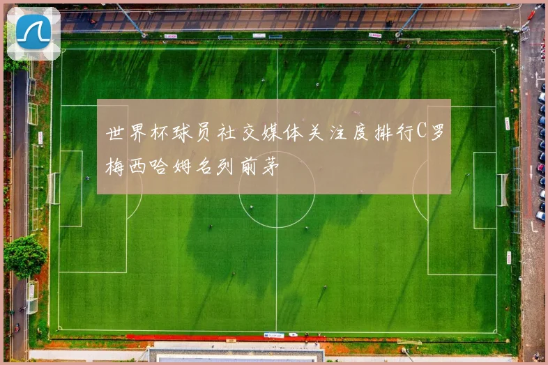 世界杯球员社交媒体关注度排行C罗梅西哈姆名列前茅